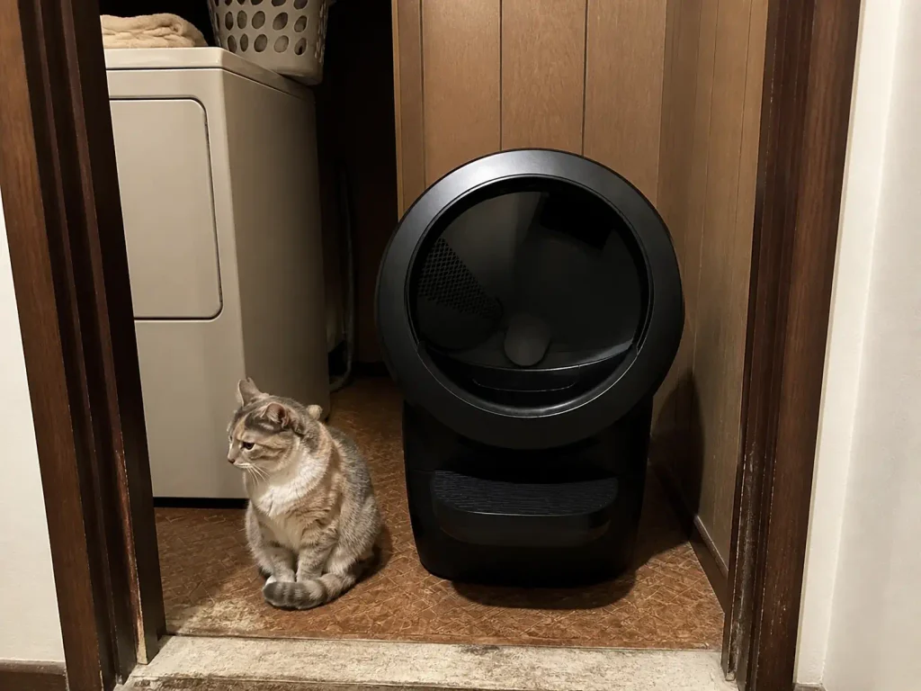 Automatic litter box standing untouched in a laundry alcove with a young cat sitting beside it