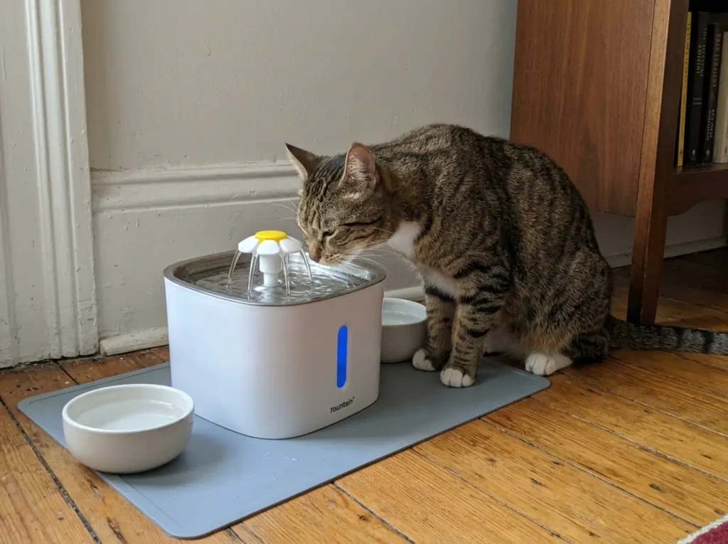 Tabby cat drinking from a running water fountain on a living room floor