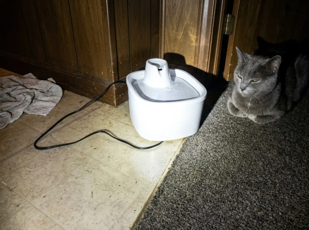 Close view of a corded cat fountain on a hard floor at night, its cable lying across the bare vinyl