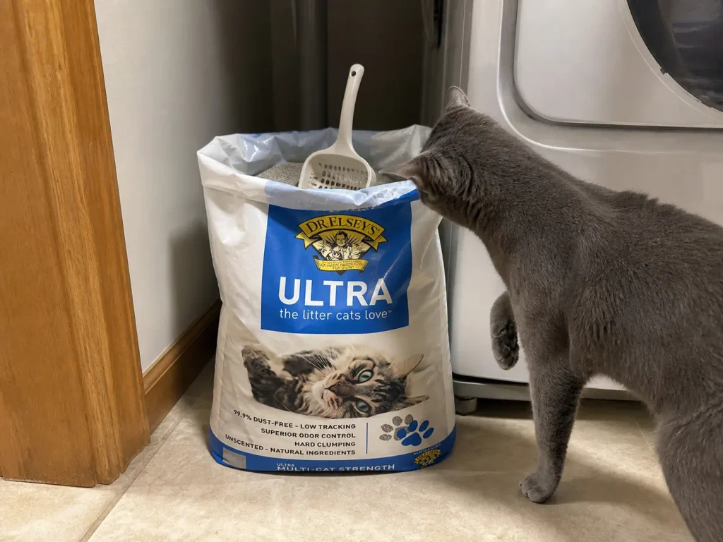 Open bag of clumping clay cat litter on a utility closet floor with a gray cat sniffing the rim