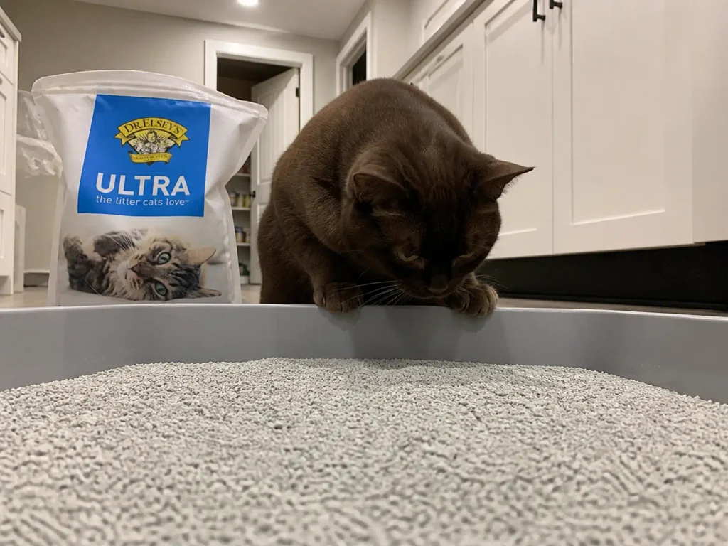 Litter box on a kitchen floor showing how deep the clumping layer sits