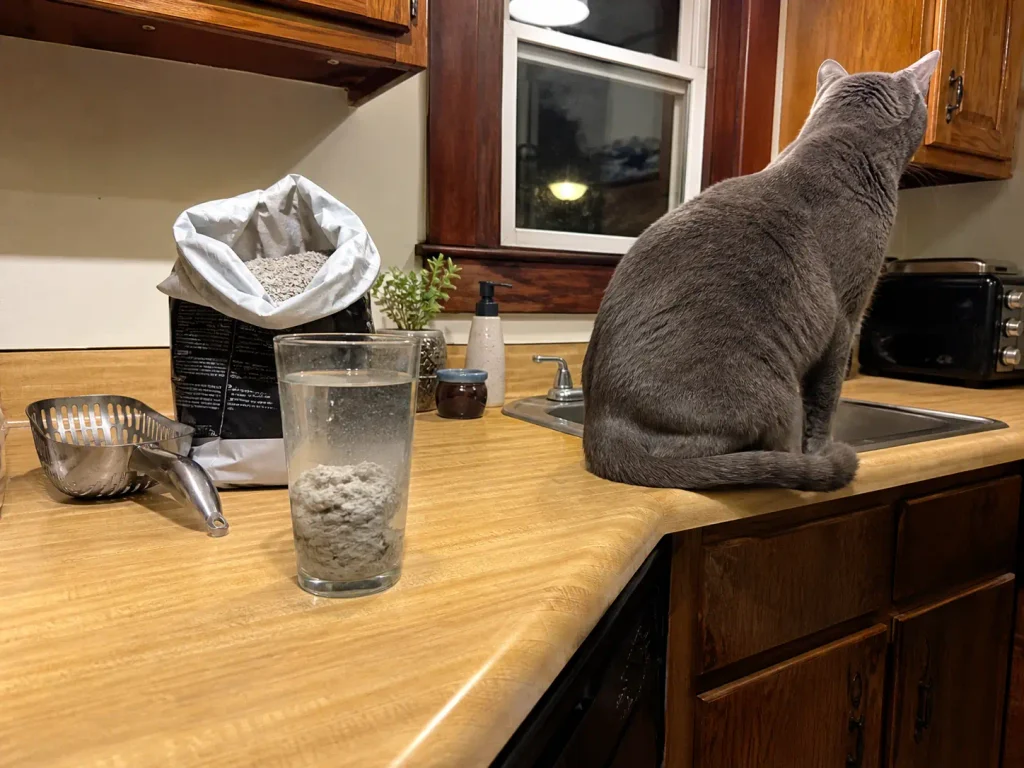 A spoonful of clumping clay litter dropped into a glass of water on a kitchen counter