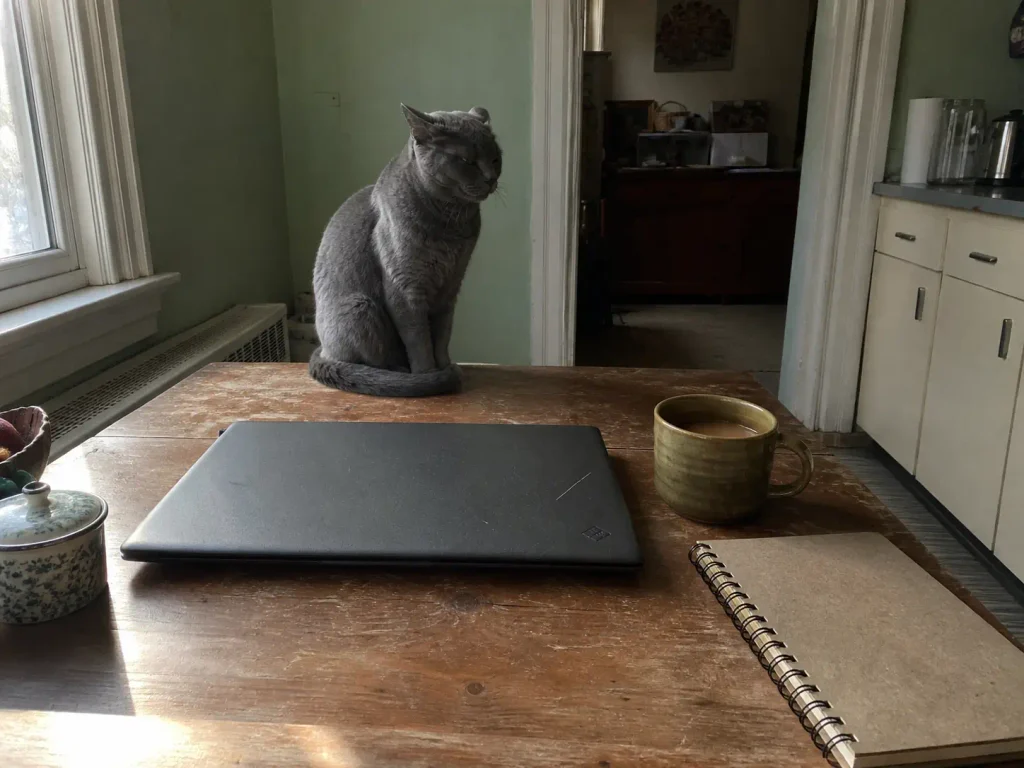 Laptop lid closed on a kitchen table beside a notepad, with a grey cat sitting at the table edge