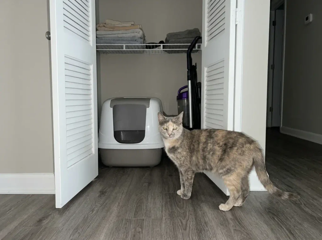 Covered litter box inside a closed hallway closet in a small apartment, doors open