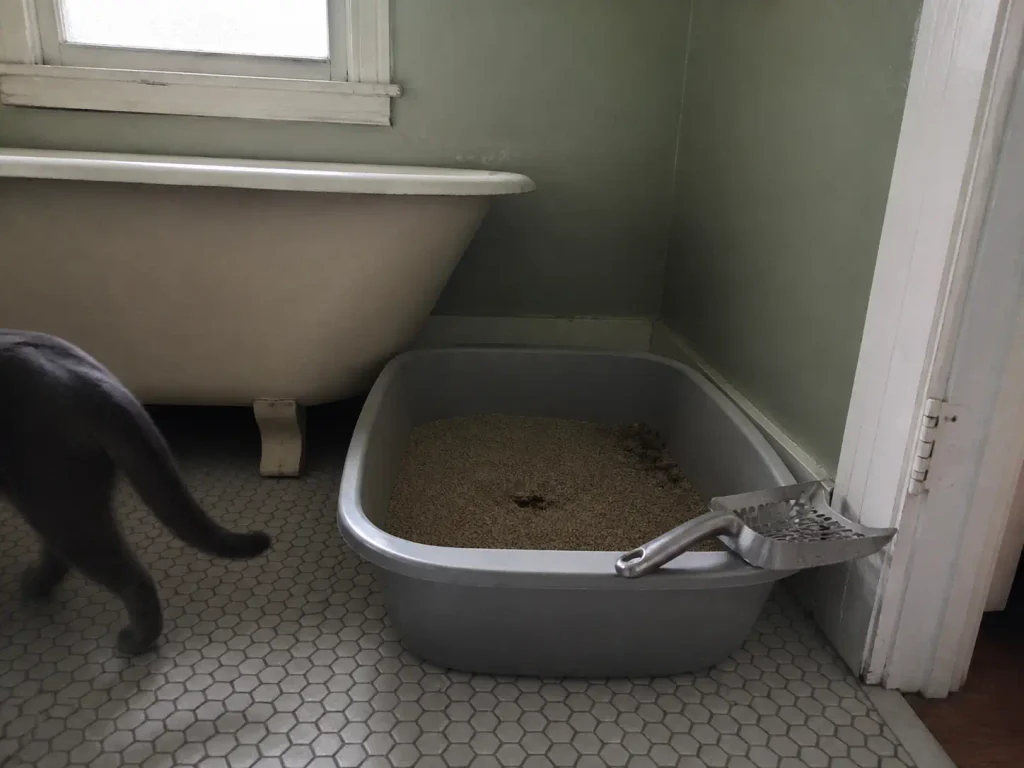 Close view of clumped litter in an open box on a bathroom floor with a scoop resting on the rim