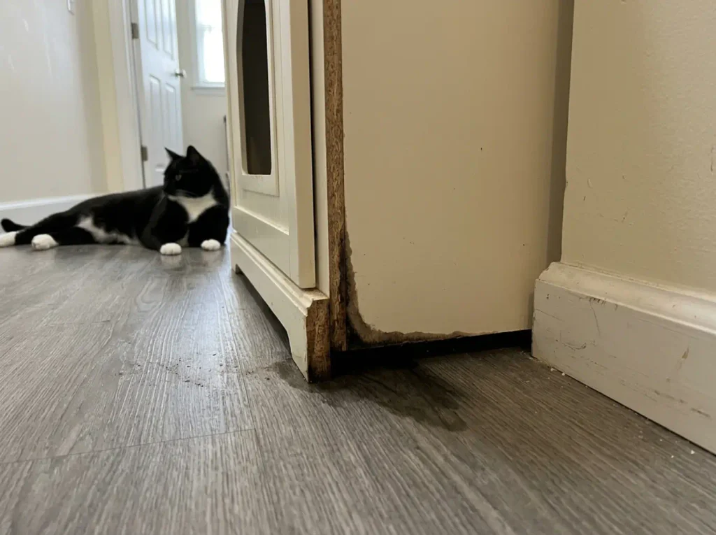 Close view along the base seam of a litter box enclosure showing a damp line spreading from the joint