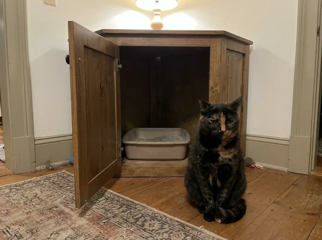 Open litter box enclosure door showing the tray inside and a cat sitting alongside