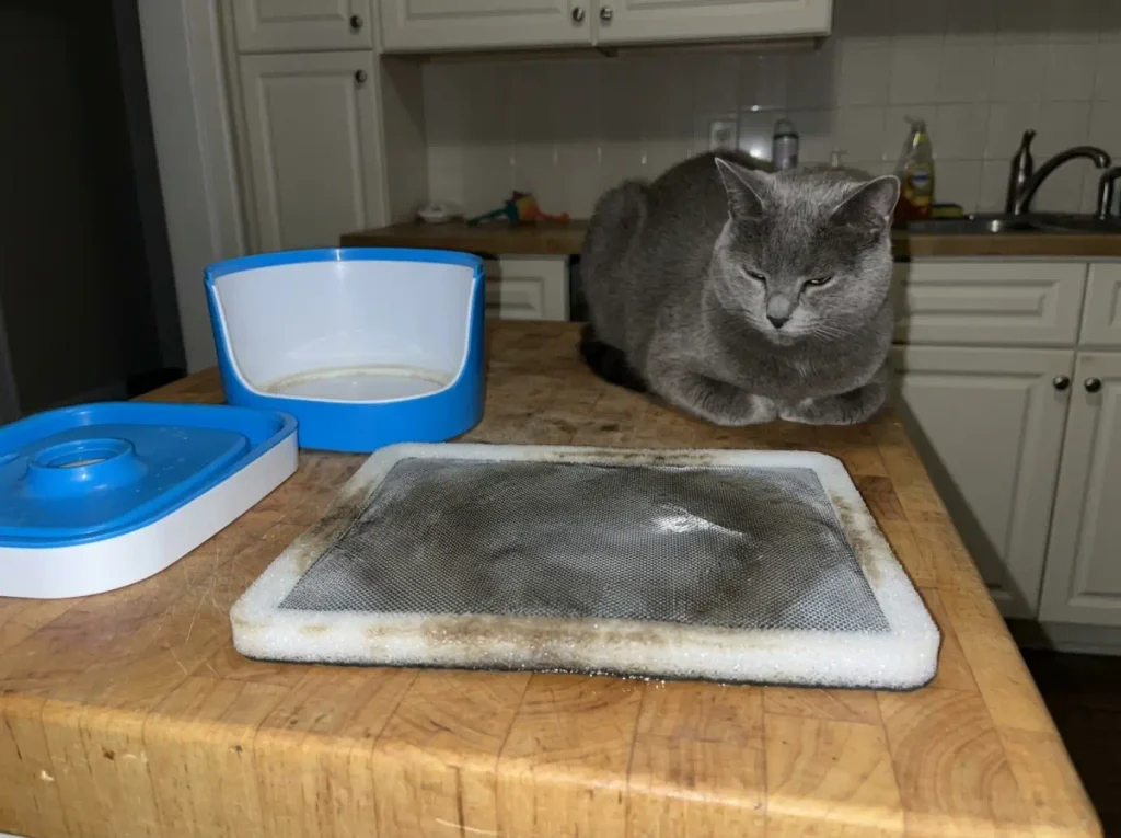 Close view of a saturated cat fountain carbon filter lifted out of the fountain, dark with trapped residue