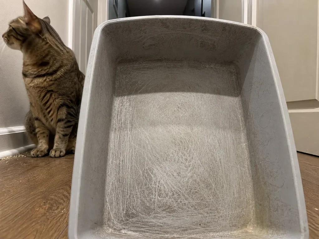Close view of a worn plastic litter box interior showing scuffed, scratched surface from years of scooping
