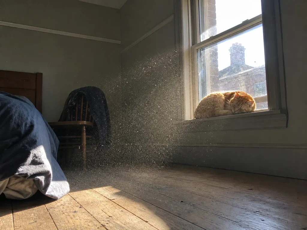 Ginger cat asleep on a windowsill with afternoon light showing dust in the air