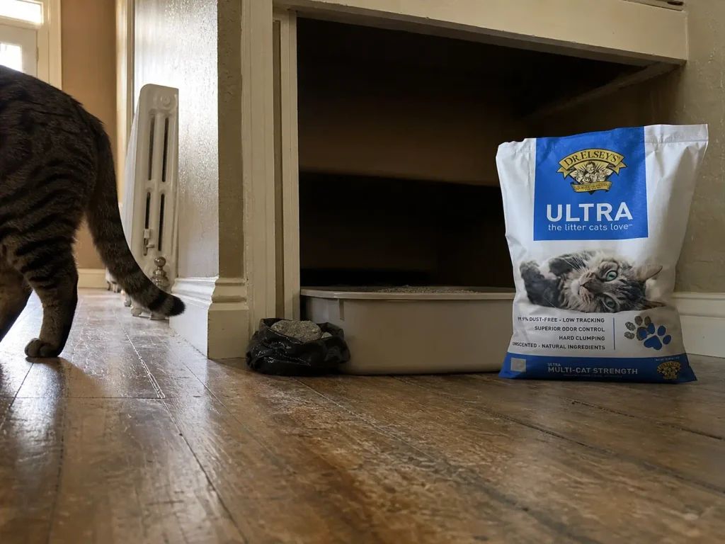 A daily scoop and a bag of clumping clay beside a litter box in a hallway alcove