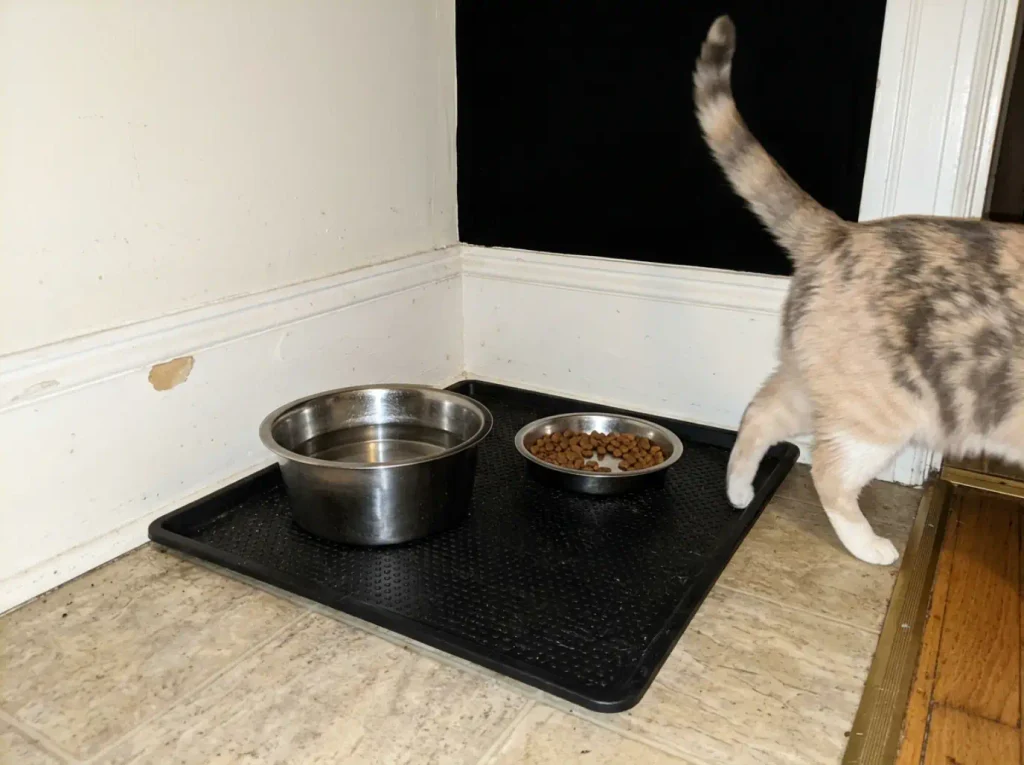 Deep narrow water bowl next to a food bowl on a kitchen mat with a cat walking past