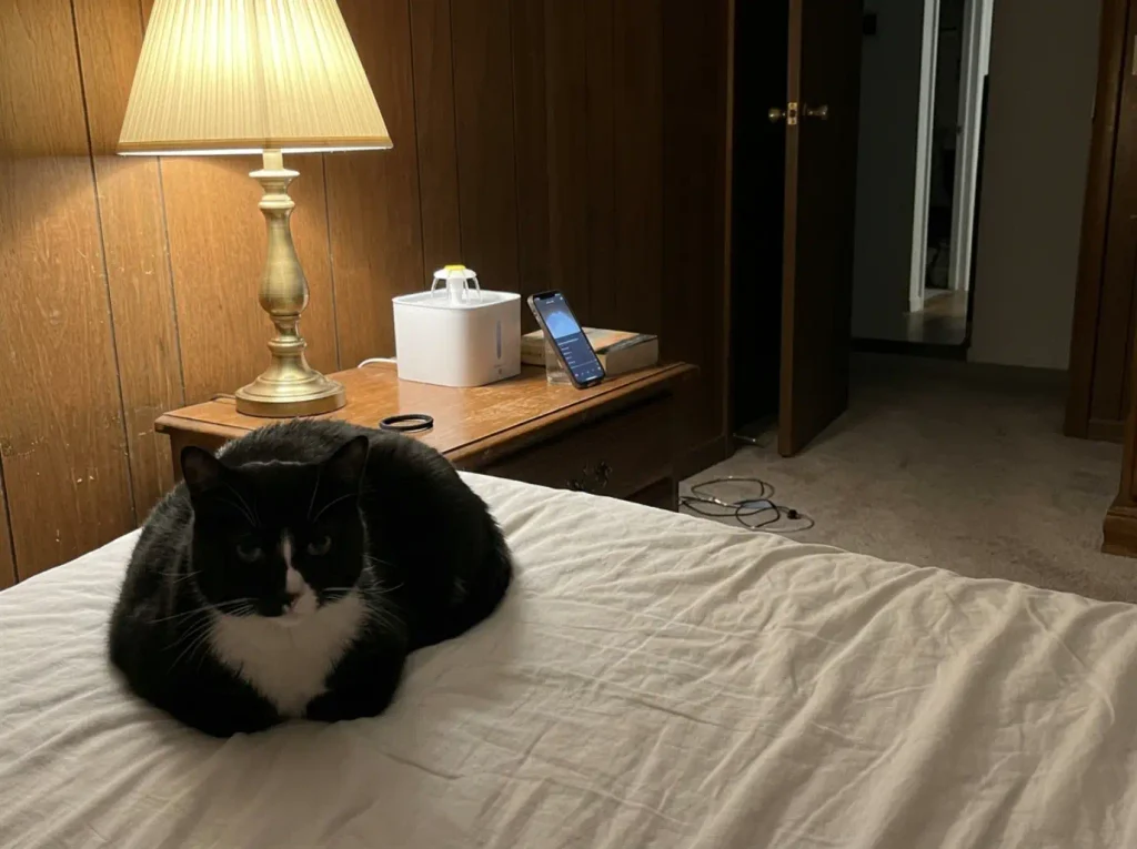 A phone propped on a bedside table next to a running cat fountain, measuring how loud it is from the pillow