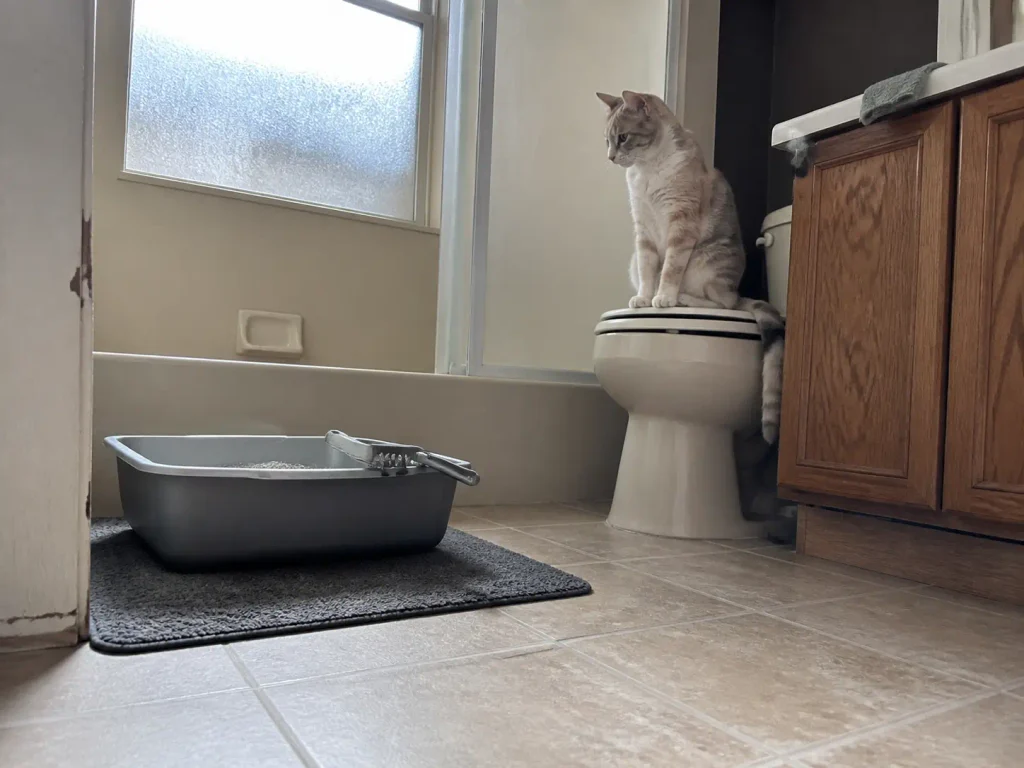 A plain litter tray on a bathroom floor with a scoop resting on the rim