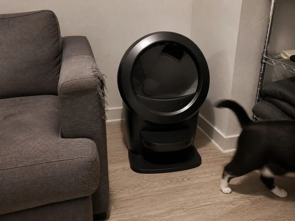 Rotating globe automatic litter box in the corner of a small rental living room