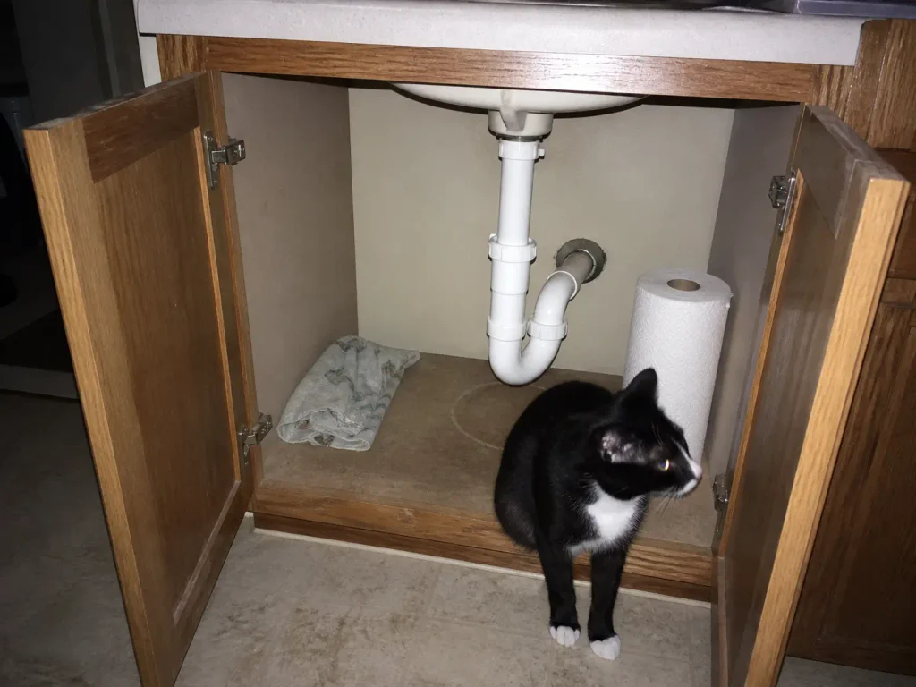 Flash photo inside an open under-sink cabinet showing the P-trap and stored cleaning supplies