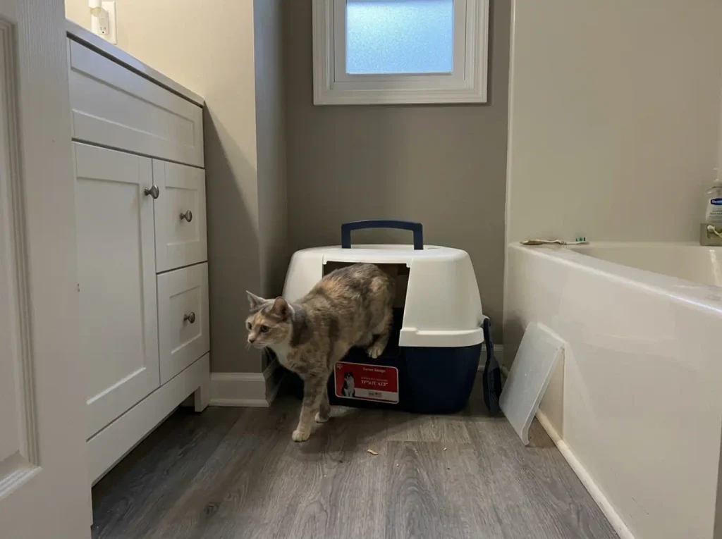 Navy corner litter box fitted into a small apartment bathroom corner with a cat stepping out