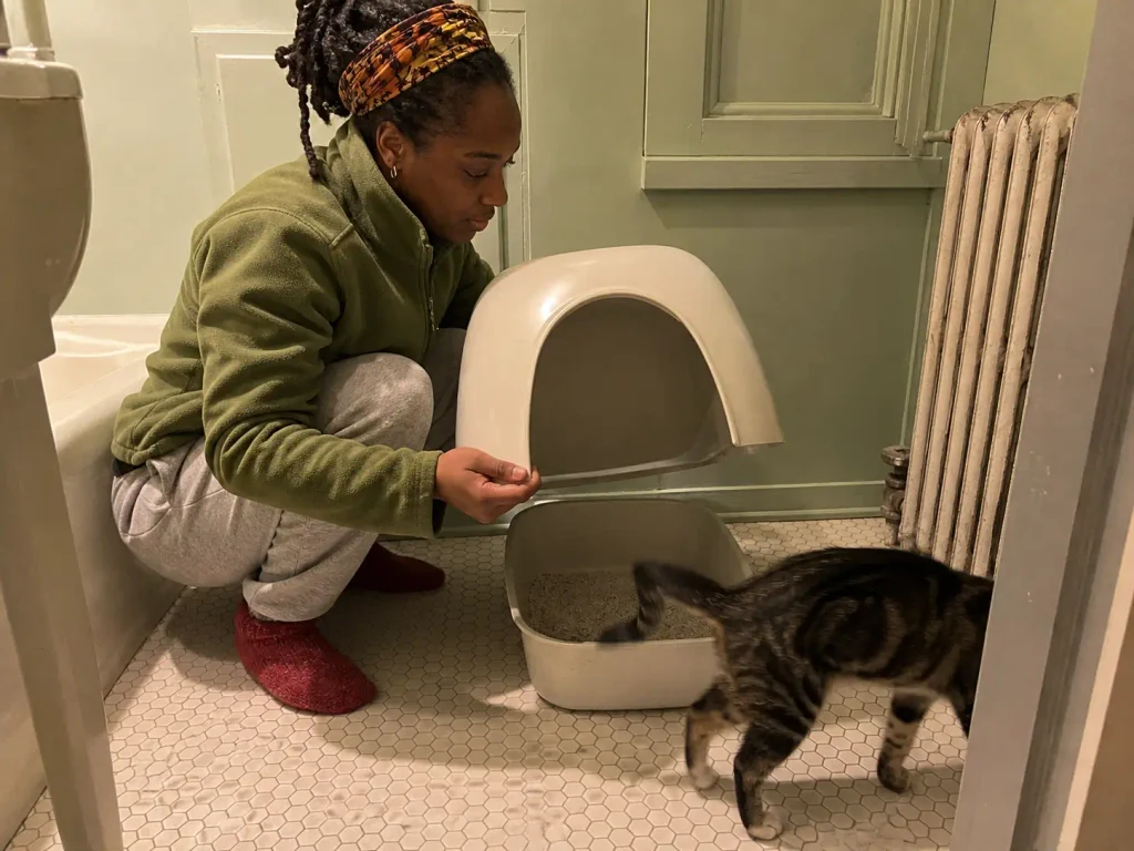 A hooded litter box with its lid lifted off and set aside on the bathroom floor