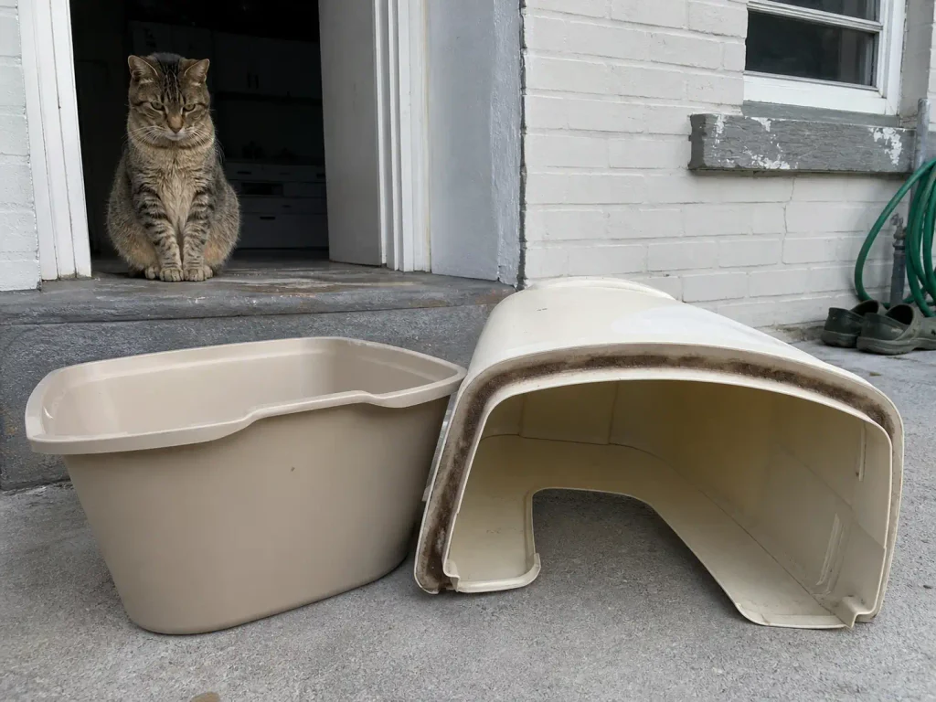 Hooded litter box taken apart on a back step, lid resting separately beside the base
