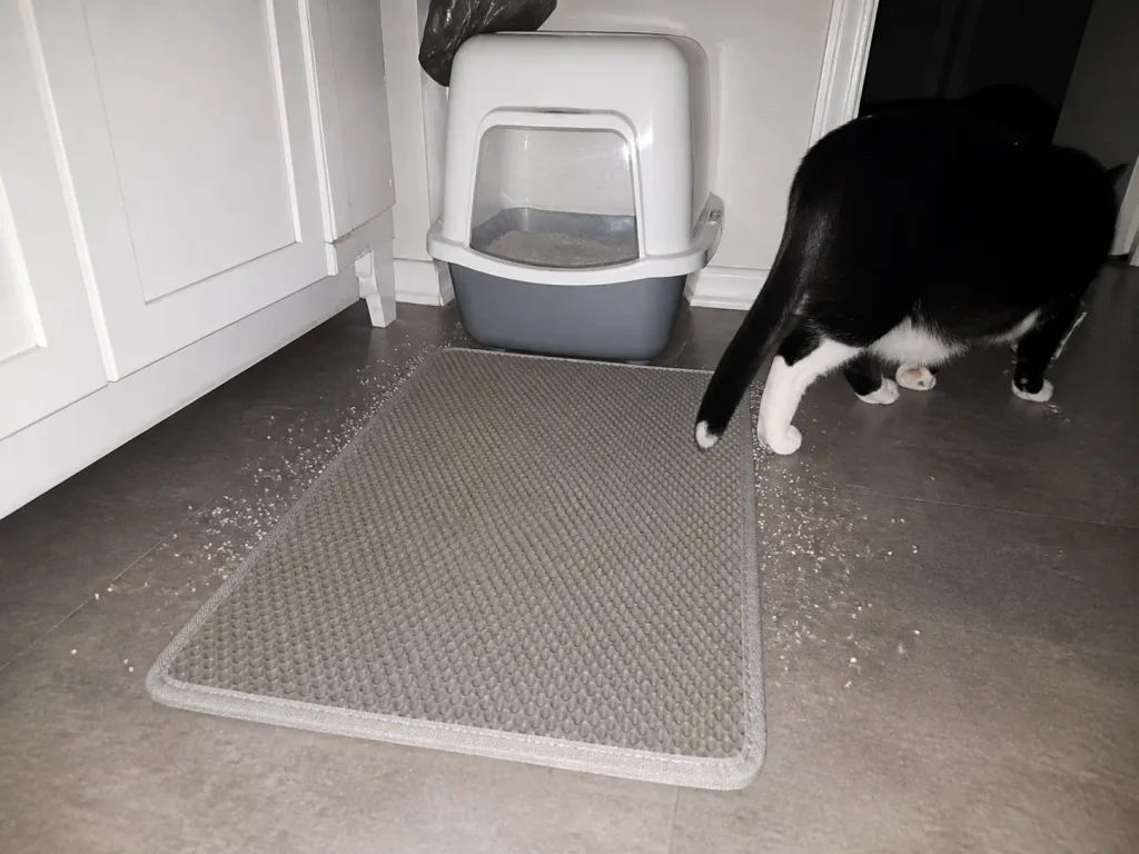 Litter scattered in a ring on the floor around a mat rather than caught on top of it