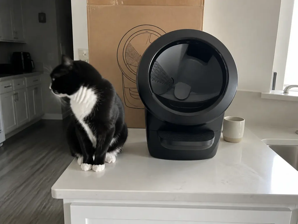 A young tuxedo cat on a kitchen counter beside the open bezel of a Litter-Robot 4