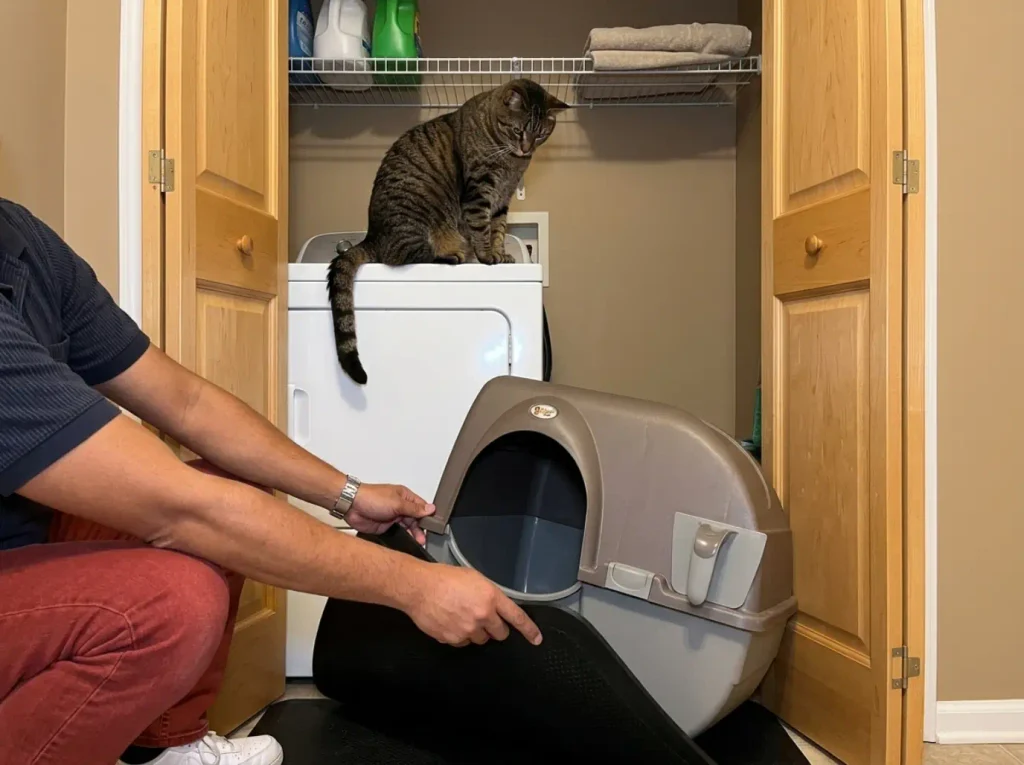 Thick rubber mat going under a litter box in a laundry closet to stop floor rumble