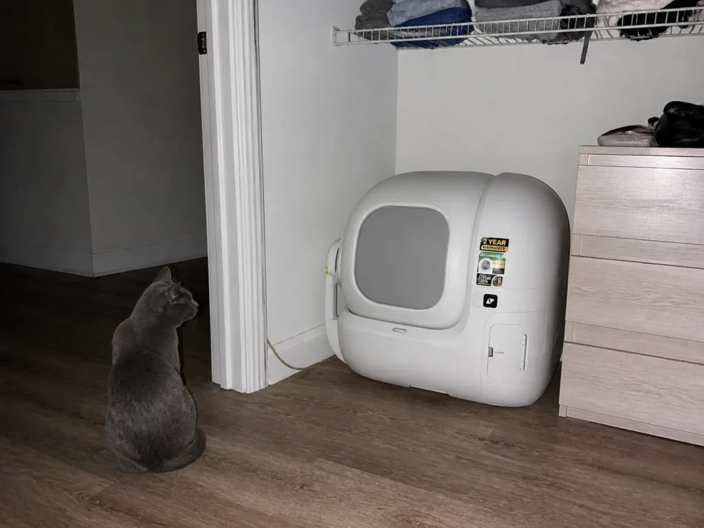 Automatic litter box photographed with flash in a dim bedroom corner, cat sitting in the doorway