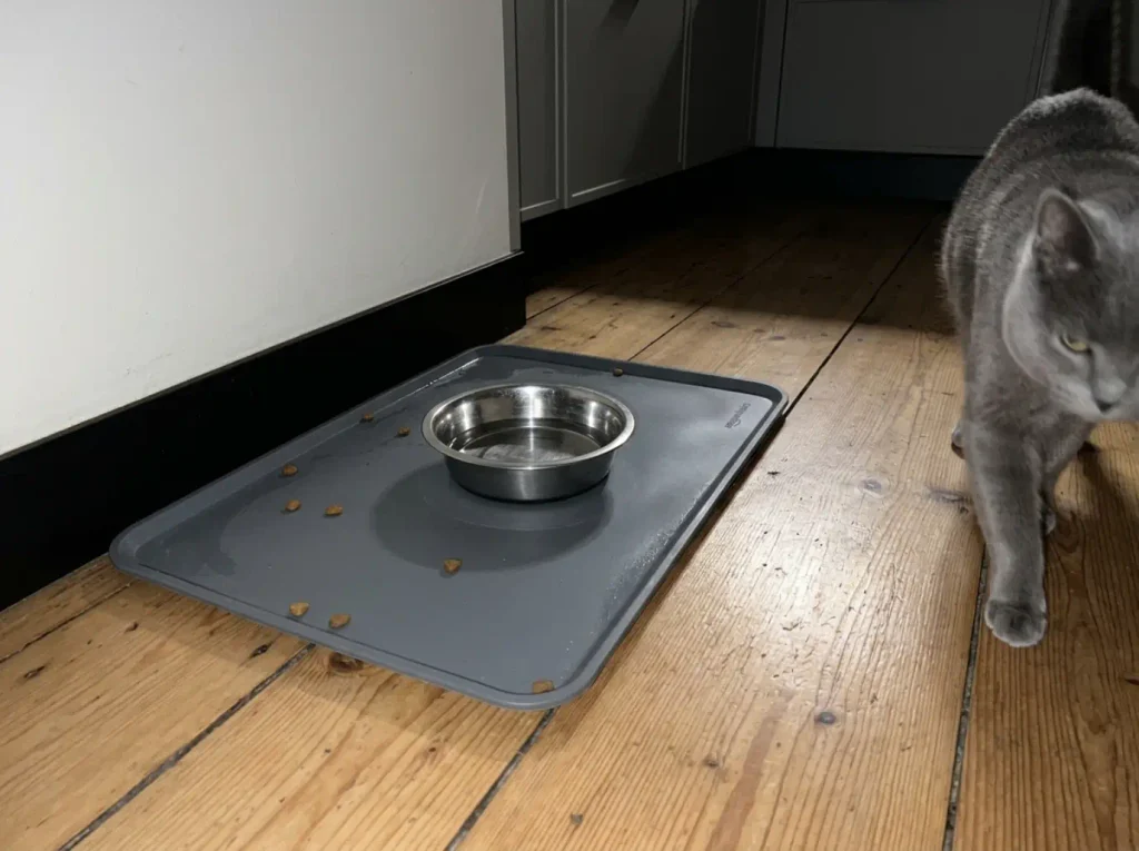Cat food bowl sitting on a non-slip silicone mat on a kitchen floor at night