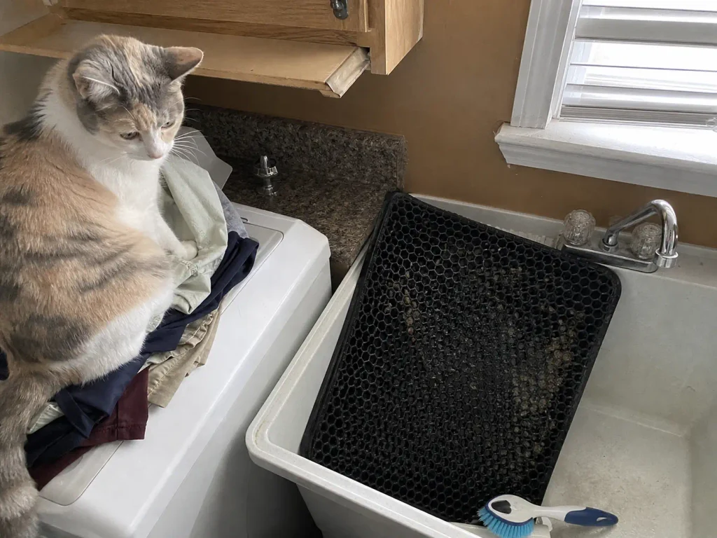 A clogged honeycomb litter mat propped in a utility sink after being rinsed