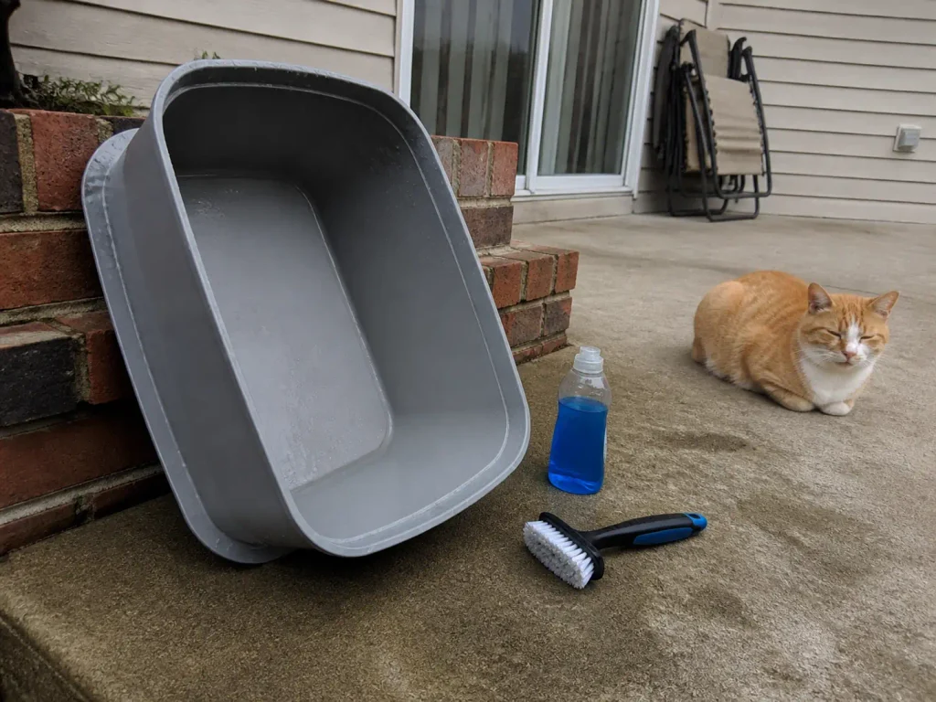Empty litter box drying upside down on a patio after being washed with soap and hot water