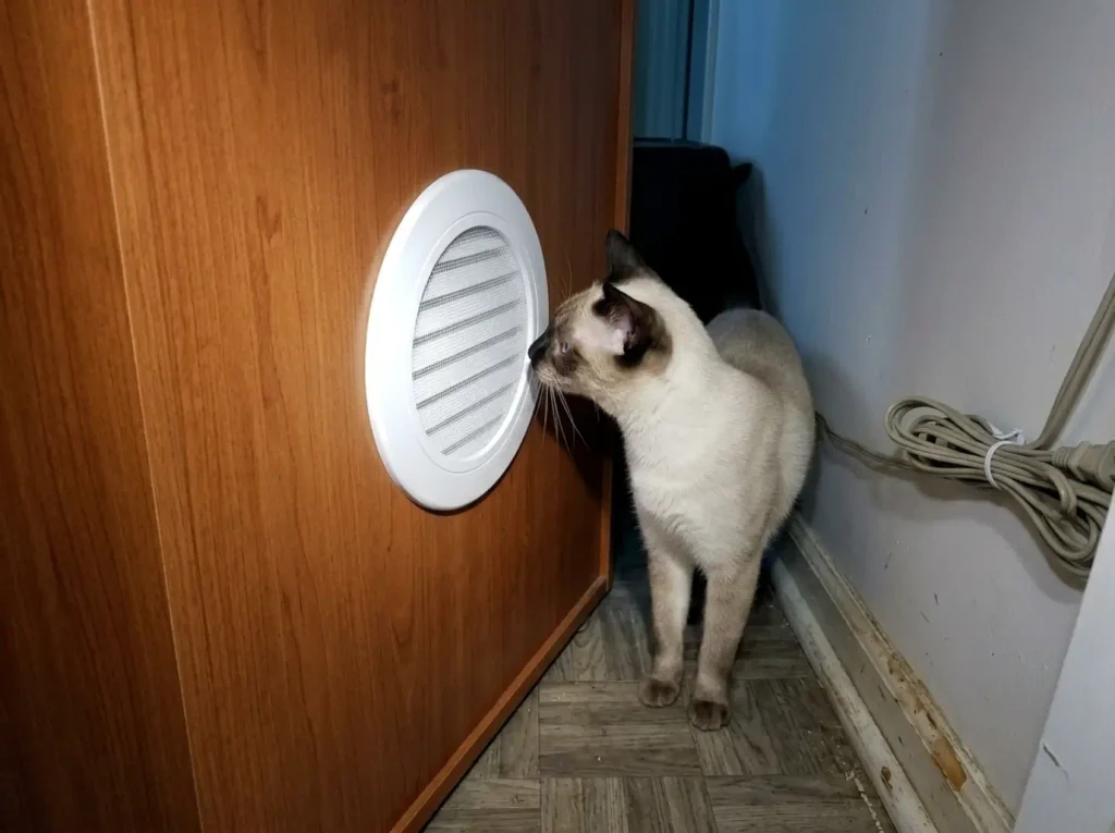 Round mesh vent cover fitted in the back panel of a litter box enclosure, shot with flash