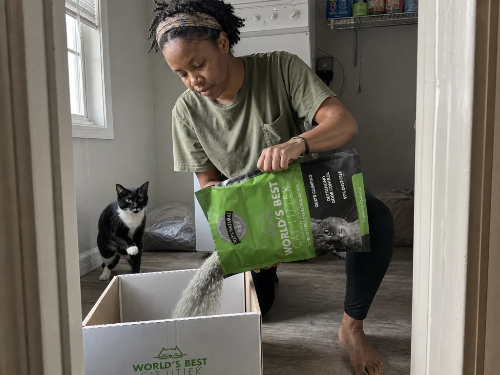 Pouring clumping cat litter into a box while a tuxedo cat watches from the doorway
