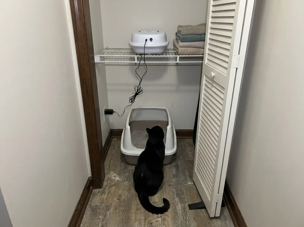Compact carbon air purifier on a closet shelf above a litter box, closet door propped open a hand's width
