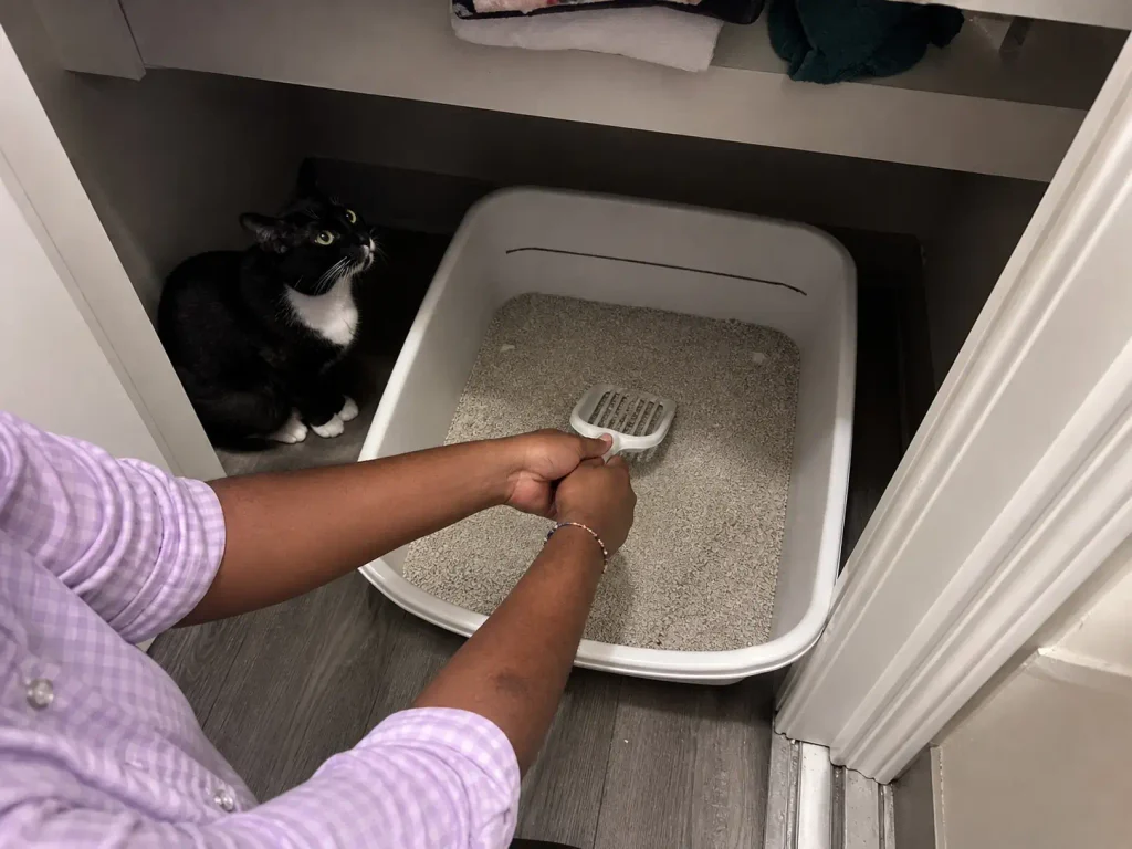 Litter box four days after a change, the layer visibly lower than the marked line