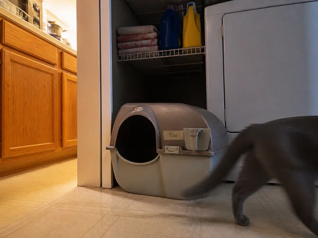 A brown roll-style self-cleaning litter box in a laundry alcove with a cat walking past