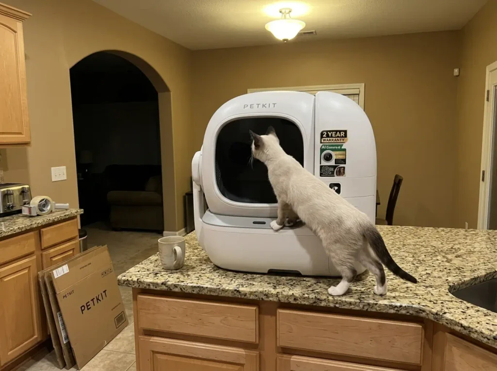 Enclosed automatic litter box unboxed on a kitchen counter with a cat inspecting it