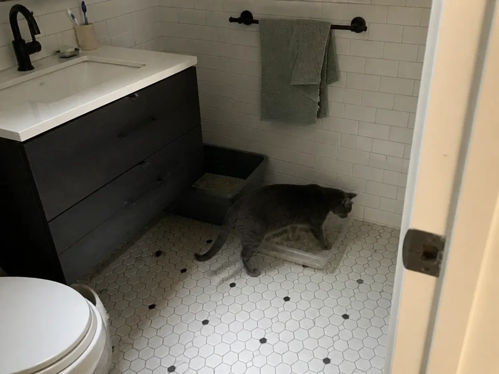 Shallow tray of new litter set beside the existing litter box in a narrow bathroom corner