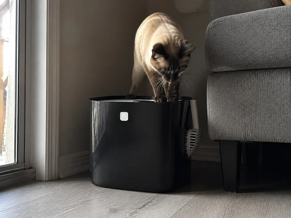 A cat climbing out through the top lid of a top-entry litter box in a living room corner