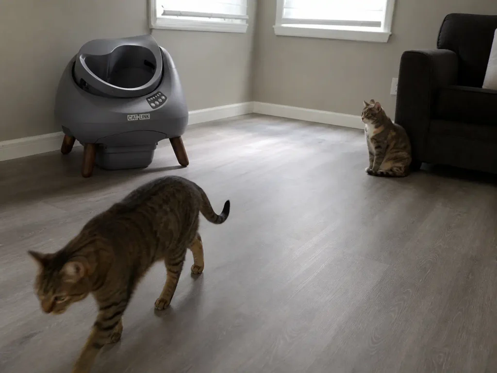 Two cats near an open-top automatic litter box placed in a corner with clear approach paths