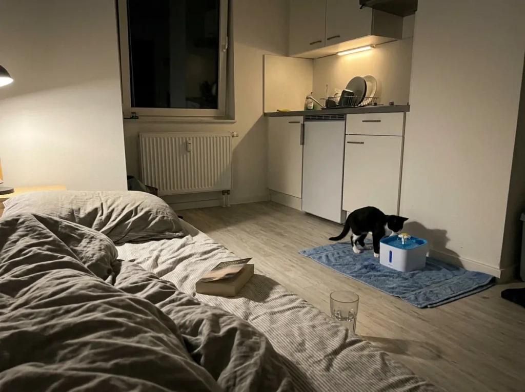 Cat water fountain on a folded towel across a studio apartment from the bed at night