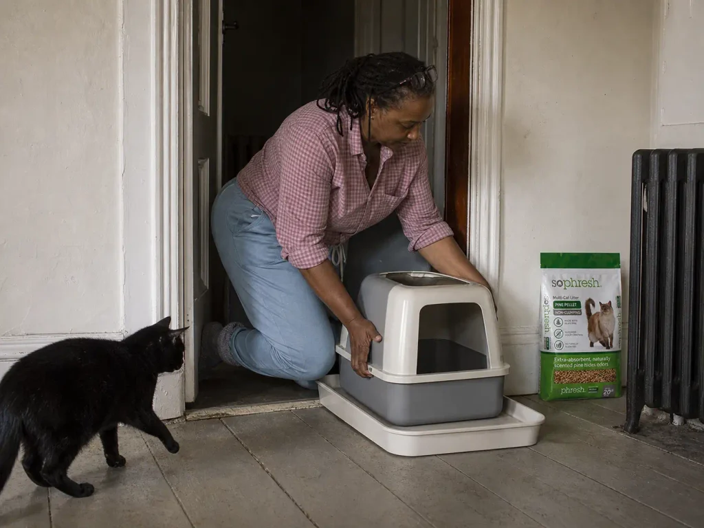 A litter box lifted onto a boot tray on painted floorboards beside a bag of pine pellet litter