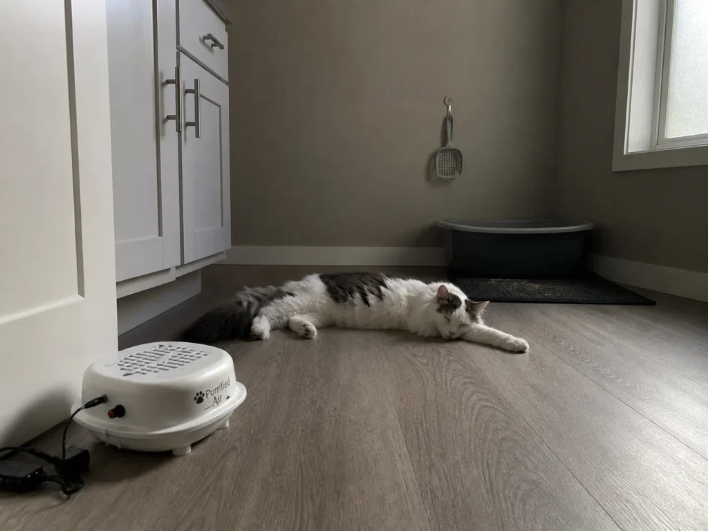 Purrified Air litter box air purifier standing a few feet from an uncovered litter box in a rental bathroom