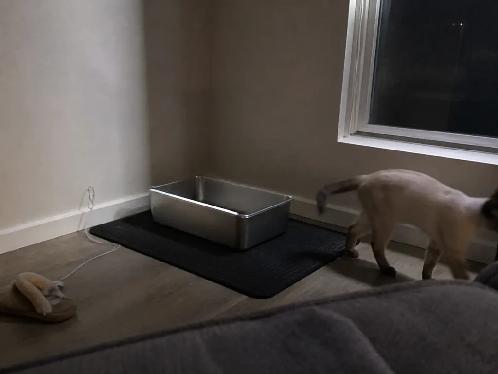 Rubber mat under a steel litter box to quiet the digging noise, with a cat standing off to one side