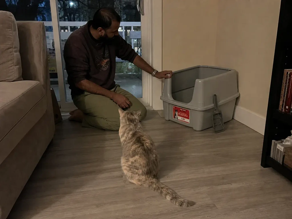 Second litter box placed at the opposite end of a small living room in a two-cat household