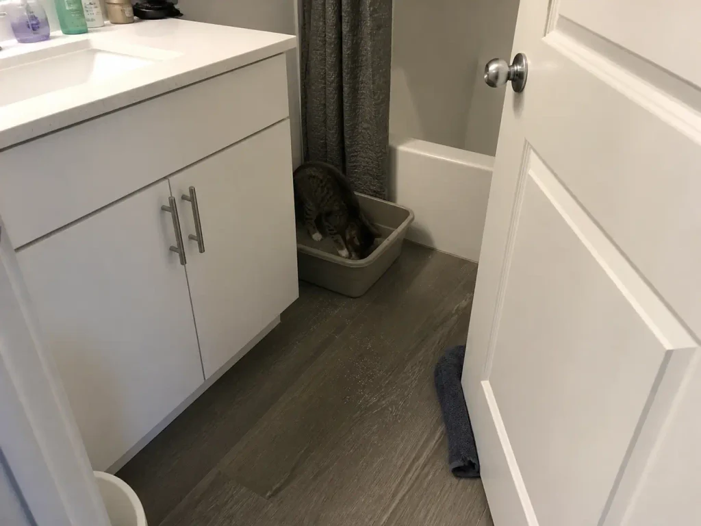 Second litter box tucked into a small apartment bathroom corner during a transition
