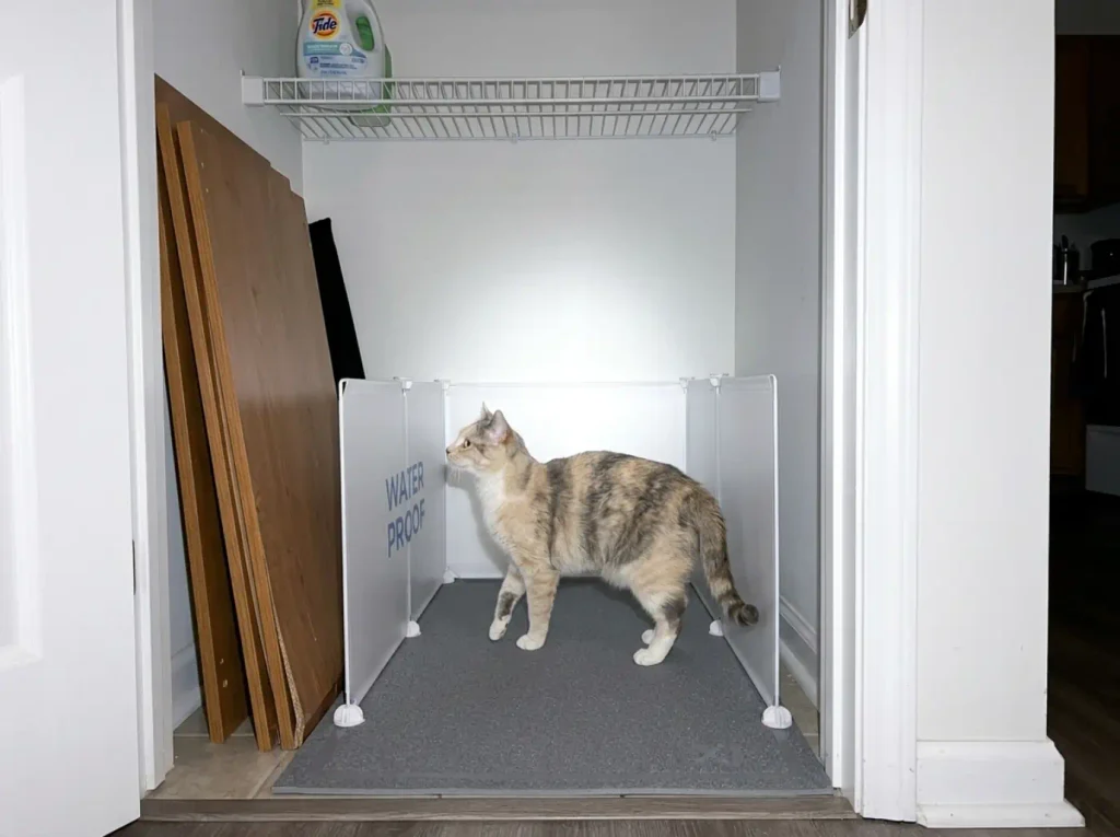 Rigid splash guard enclosure standing in a utility closet beside a broken-down swollen wooden cabinet