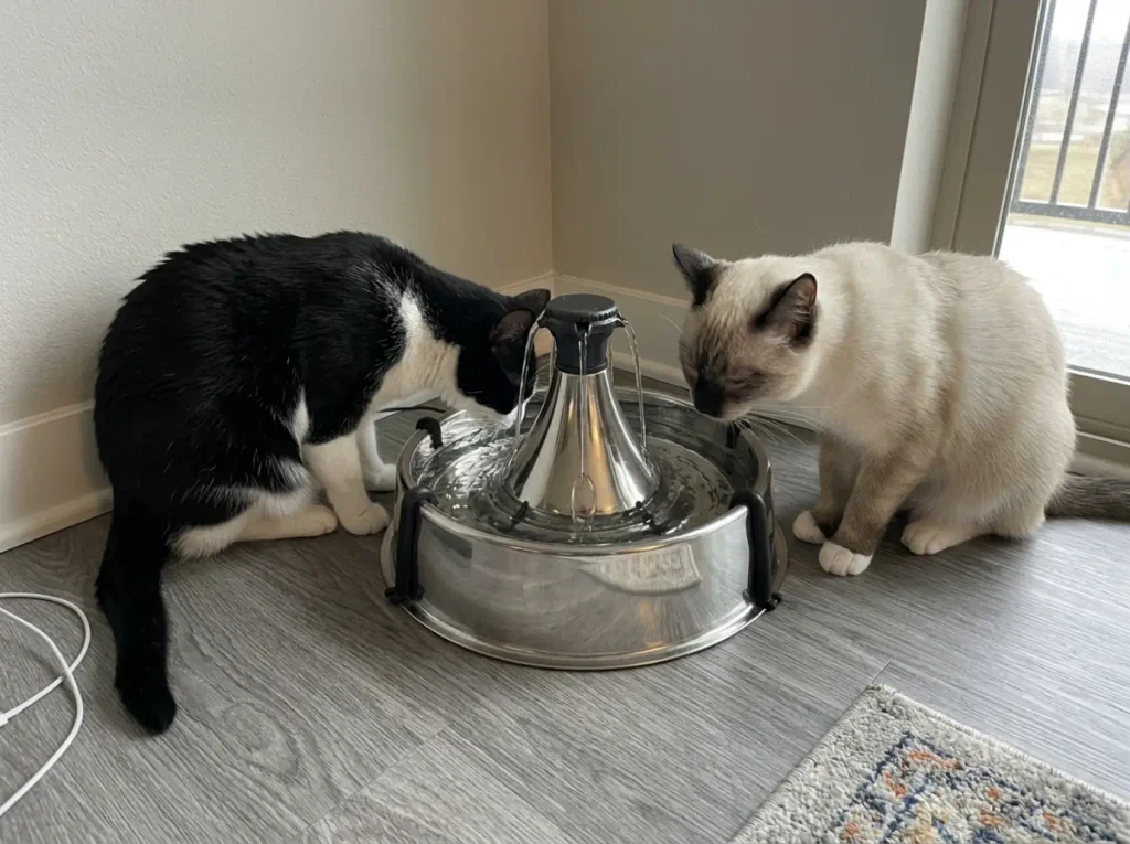 Large stainless multi-pet cat fountain in an apartment corner with two cats drinking from opposite sides