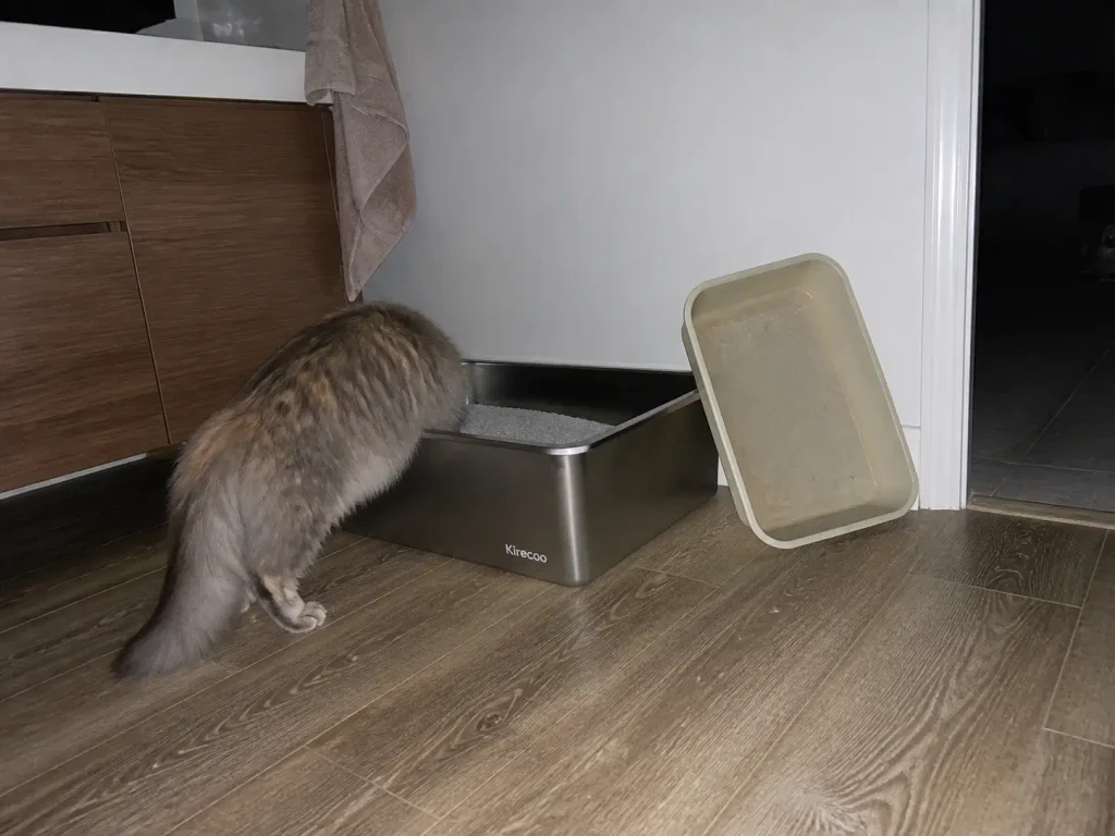 Large stainless steel litter box on a bathroom floor beside the old scratched plastic pan