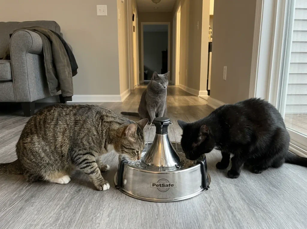 Two cats drinking from opposite sides of a large stainless steel cat fountain on the floor