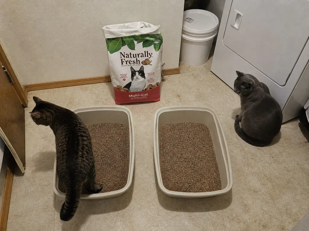 Two litter boxes side by side in a laundry room with a walnut litter bag and two cats nearby